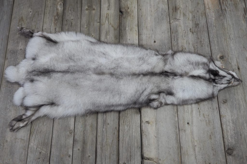 Ranch fox Gaston Henry Fourrures